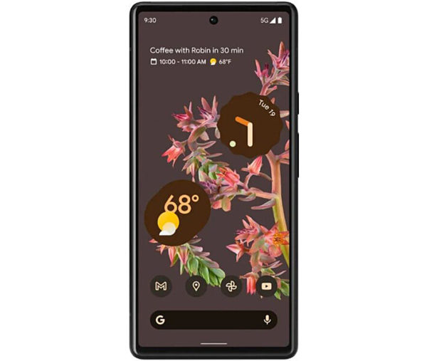 Google Pixel 6 Stormy Black costel.md_3