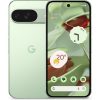 Google Pixel 9 Wintergreen costel.md